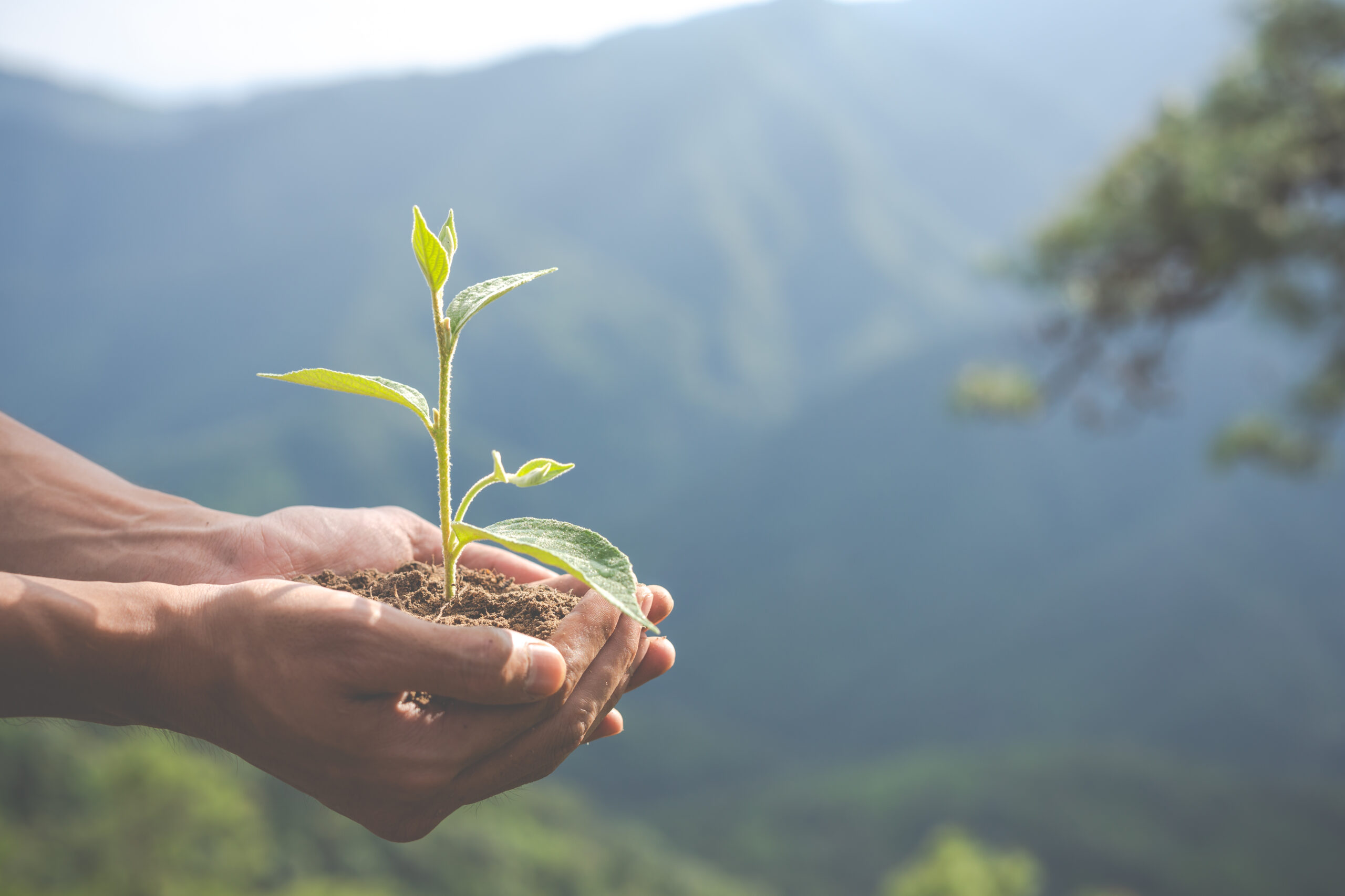 SustainableMotion | Zorgvuldig communiceren over verandering
